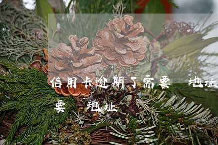 信用卡逾期了需要換地址嗎(信用卡逾期了需要換地址嗎)