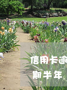 信用卡逾期了需要還全款-為什么信用卡逾期半年錢還了怎么還能用