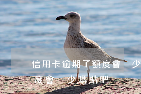 信用卡逾期了額度會減少嗎(信用卡逾期了額度會減少嗎貼吧)