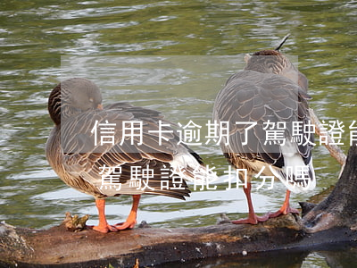信用卡逾期了駕駛證能扣分嗎(信用卡逾期了駕駛證能扣分嗎)