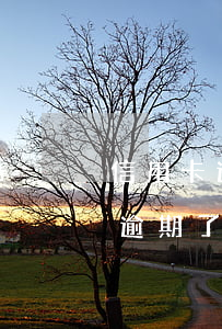 信用卡逾期了黑名單多久可以消除-信用卡逾期了黑名單多久可以消除呢
