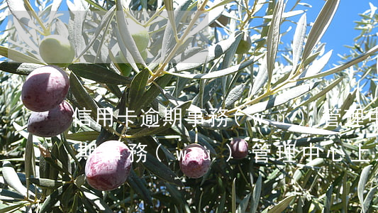 信用卡逾期事務(wù)管理中心(信用卡逾期事務(wù)管理中心上班時(shí)間)