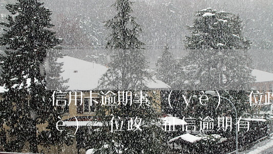 信用卡逾期事業(yè)單位政審(事業(yè)單位政審征信逾期有問題么)