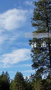 信用卡逾期二個(gè)月可以分期嗎