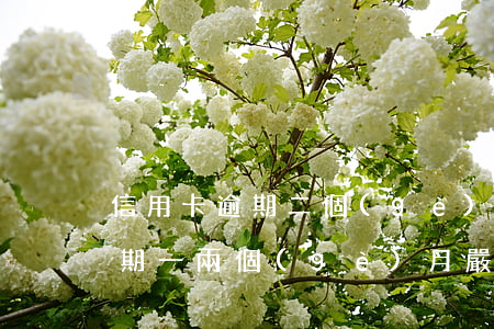 信用卡逾期二個(gè)月怎么樣(信用卡逾期一兩個(gè)月嚴(yán)重嗎)