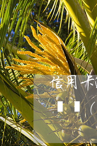 信用卡逾期二個(gè)月有什么影響(逾期兩個(gè)月信用卡)
