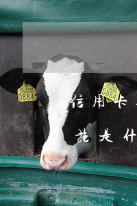 信用卡逾期二個(gè)月補(bǔ)救措施是什么-信用卡逾期二個(gè)月補(bǔ)救措施是什么意思