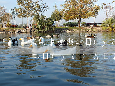 信用卡逾期二個(gè)月還款(信用卡逾期二個(gè)月還款什么時(shí)候能刷出來)