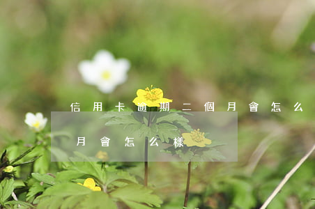 信用卡逾期二個月會怎么樣(信用卡逾期二個月會怎么樣)