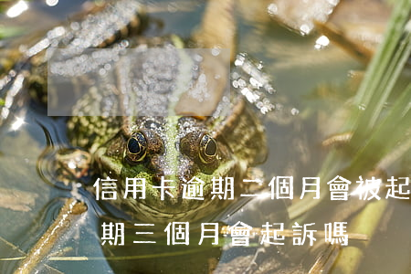 信用卡逾期二個月會被起訴嗎 信用卡2w逾期三個月會起訴嗎