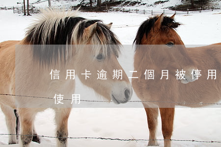 信用卡逾期二個月被停用(信用卡逾期被暫停使用)