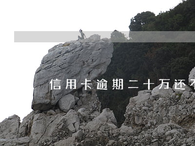 信用卡逾期二十万还不上(信用卡逾期20万)