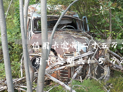信用卡逾期二十五万怎么判刑-7家银行信用卡逾期共15万,还不起能判几年?