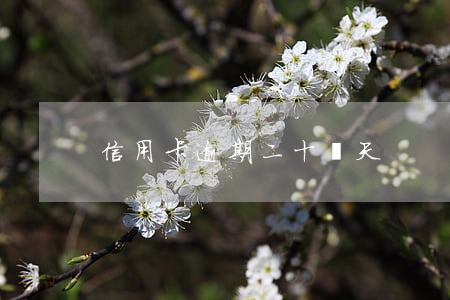 信用卡逾期二十來天