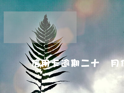 信用卡逾期二十個月 信用卡20萬逾期