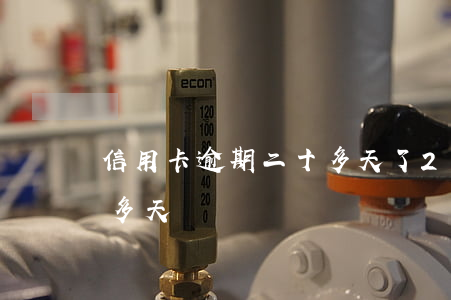 信用卡逾期二十多天了(2萬信用卡逾期70多天)