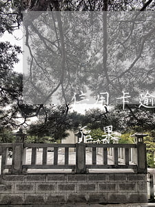 信用卡逾期二十多天停了(信用卡逾期三十天后果)