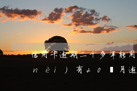 信用卡逾期二十多年能用嗎(信用卡5年內(nèi)有20個月逾期)