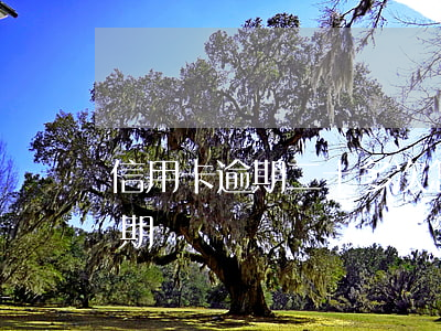 信用卡逾期二十多次怎么辦(十多張信用卡逾期)