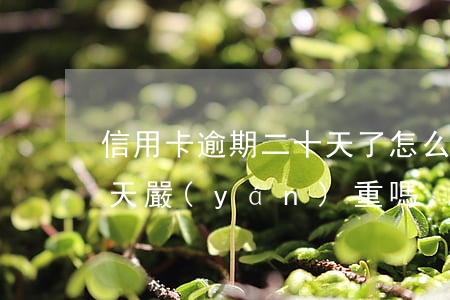 信用卡逾期二十天了怎么辦(信用卡逾期十二天嚴(yán)重嗎)