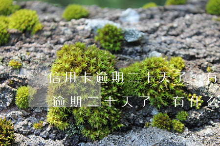 信用卡逾期二十天了會有什么后果-信用卡逾期二十天了會有什么后果嗎