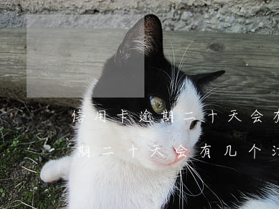 信用卡逾期二十天会有几个污点-信用卡逾期二十天会有几个污点催收