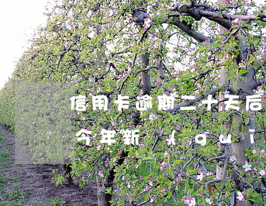信用卡逾期二十天后還會(huì)被起訴(今年新規(guī)定信用卡逾期多久會(huì)起訴)