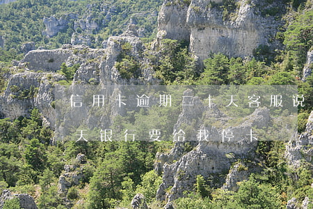 信用卡逾期二十天客服说停卡(刚逾期二十多天银行要给我停卡)