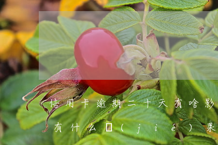 信用卡逾期二十天有啥影響(逾期二十多天,會有什么結(jié)果)
