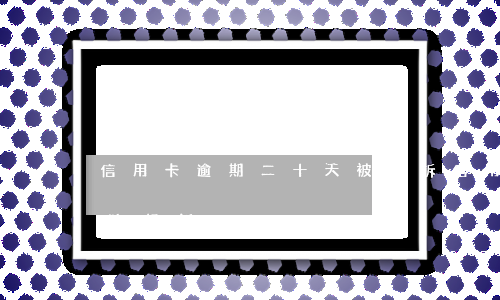 信用卡逾期二十天被起訴(信用卡逾期多久法院起訴)