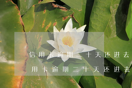 信用卡逾期二十天还进去还能刷出来吗-信用卡逾期二十天还进去还能刷出来吗