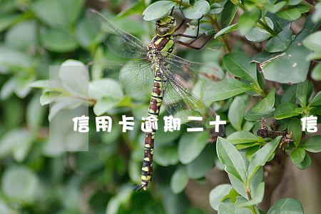 信用卡逾期二十幾塊錢(信用卡20塊錢逾期)