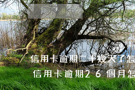 信用卡逾期二十幾天了怎么辦(2000塊的信用卡 逾期26個月 怎么消)