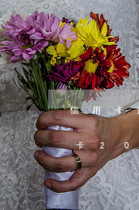 信用卡逾期二十萬(wàn)怎么辦-信用卡20萬(wàn)逾期