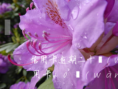 信用卡逾期二十萬(wàn)還不起了(欠信用卡20萬(wàn)還不上)
