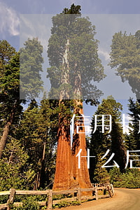 信用卡逾期二十萬三年(信用卡逾期十幾萬是什么后果)