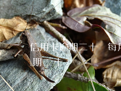 信用卡逾期二十萬每月利息多少錢（信用卡 逾期 二十萬）