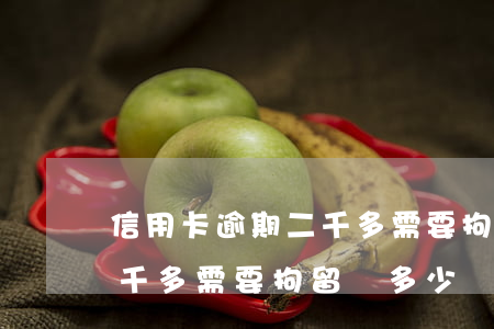 信用卡逾期二千多需要拘留嗎 信用卡逾期二千多需要拘留嗎多少錢