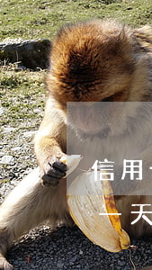 信用卡逾期二天怎么辦啊(不小心信用卡逾期一天怎么辦)