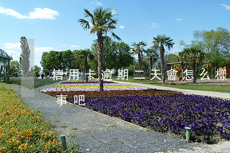 信用卡逾期二天會怎么樣(信用卡逾期2天沒事吧)