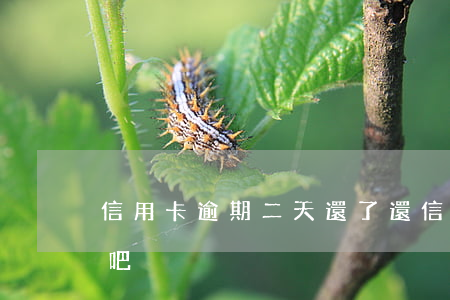 信用卡逾期二天還了(還信用卡逾期一天沒事吧)