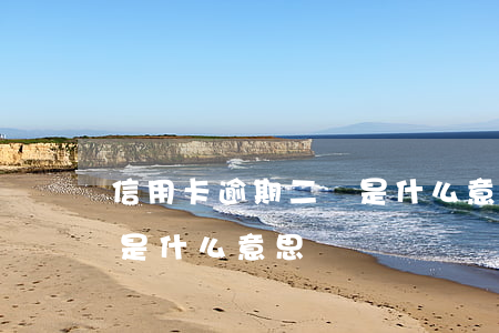 信用卡逾期二審是什么意思（信用卡逾期二審是什么意思）
