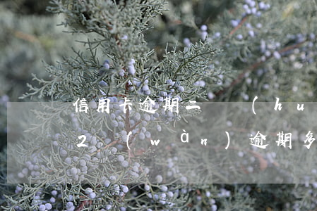 信用卡逾期二審會(huì)上訴嗎(信用卡2萬(wàn)逾期多久會(huì)被起訴)