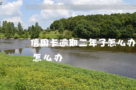 信用卡逾期二年了怎么办(信用卡逾期二年了怎么办)