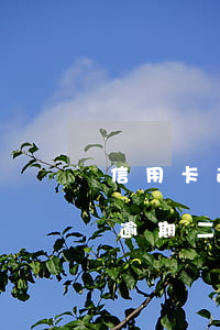 信用卡逾期二年多了為什么沒起訴-信用卡逾期二年多了為什么沒起訴呢