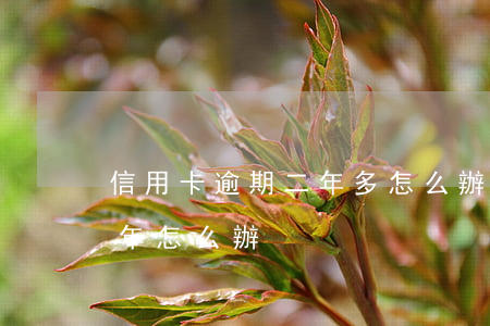 信用卡逾期二年多怎么辦(銀行信用卡逾期兩年怎么辦)