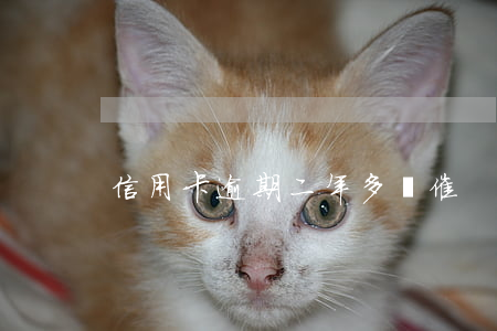 信用卡逾期二年多沒催
