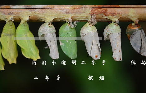 信用卡逾期二年多還會被起訴嗎(信用卡逾期二年多還會被起訴嗎)