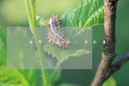 信用卡逾期二年未還