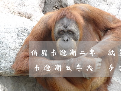 信用卡逾期二年還款怎么算利息(兩千的信用卡逾期五年大約多少利息)
